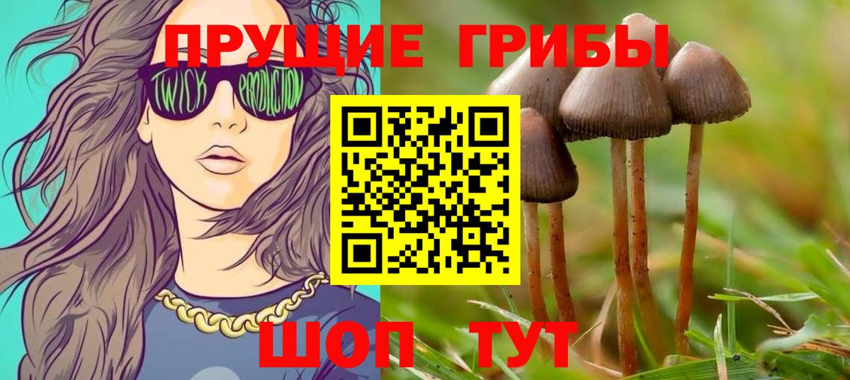 Галлюциногенные грибы Cubensis  Вход с VPN  Псилоцибиновые грибы Cubensis  Черногорск 